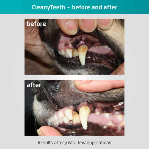 Före och efterbild på en hunds tänder